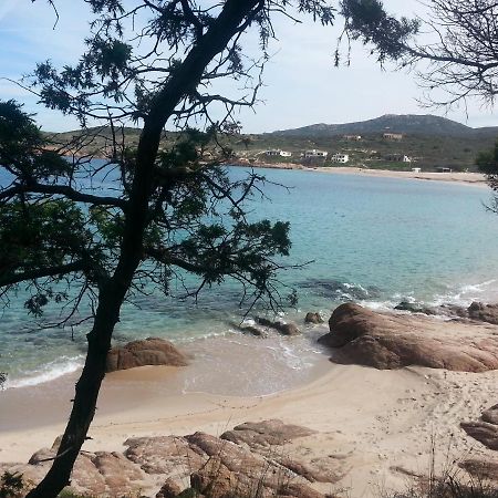 이솔라 로사 Fronte Mare Attico Indipendente Ed Esclusivo Con Terrazza Panoramica 아파트 외부 사진