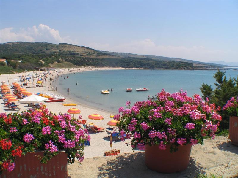이솔라 로사 Fronte Mare Attico Indipendente Ed Esclusivo Con Terrazza Panoramica 아파트 외부 사진